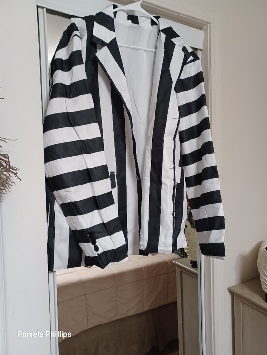 Warner Bros. Other - Beetlejuice Costume NWT Complete Costume